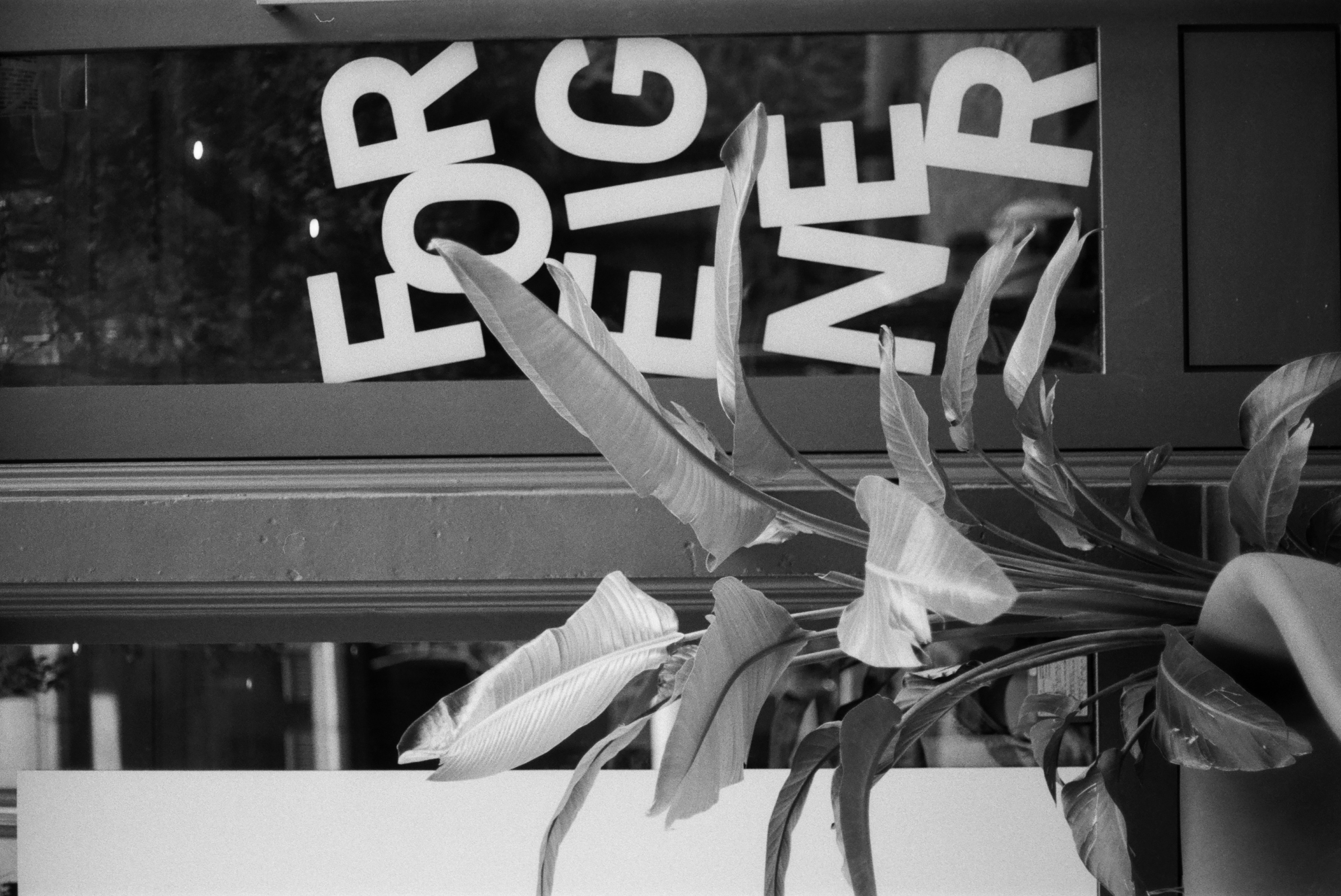Foreigner lettering on the studio storefront glass